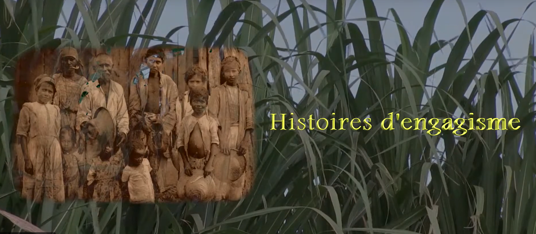 Vidéo : Histoires d&rsquo;engagisme